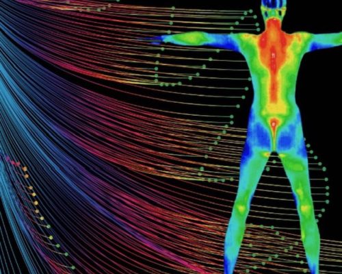 The Benefits of Whole-Body Thermography