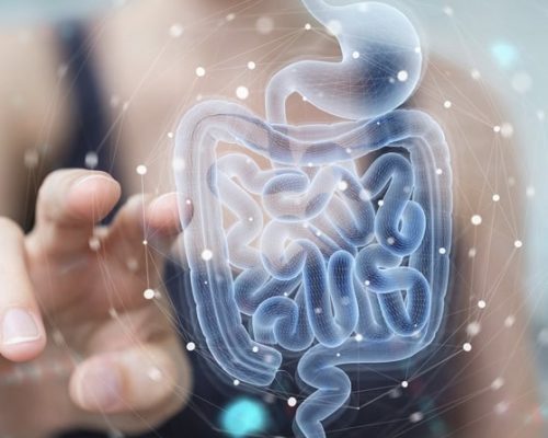 Woman on blurred background using digital x-ray of human intestine holographic scan projection 3D rendering