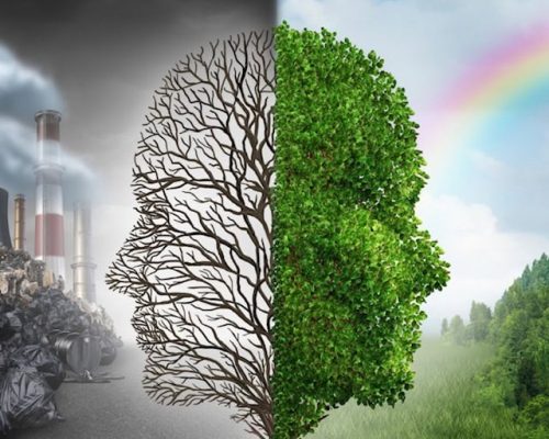 Why You Need to Detox From Toxins to Feel Better